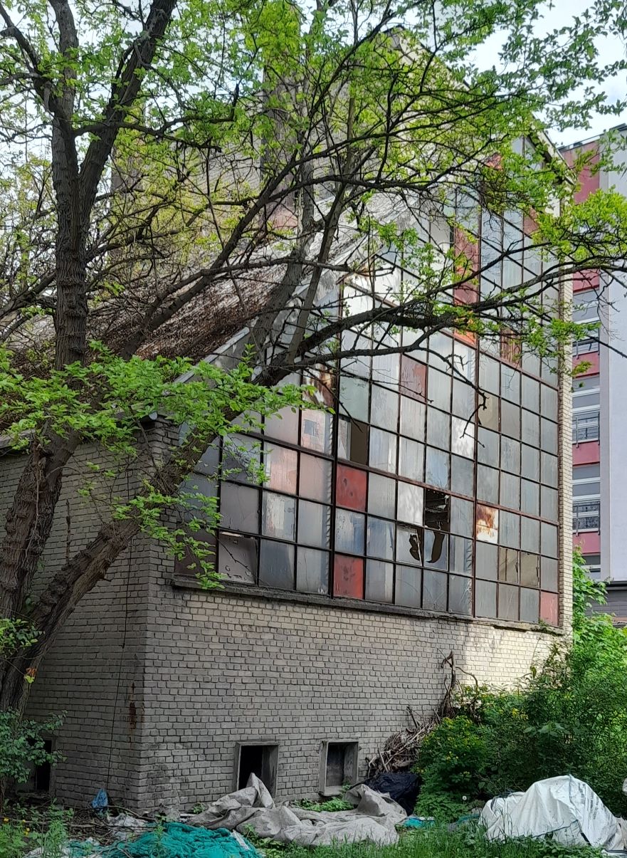 Slide Image