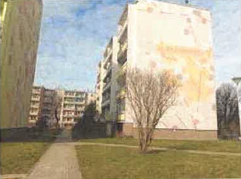 Slide Image