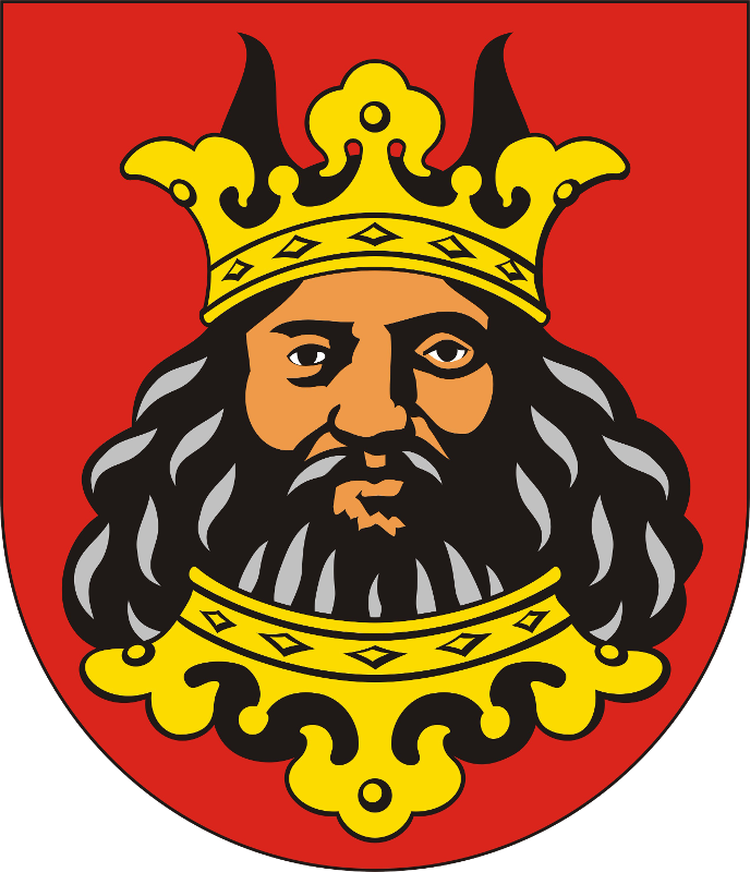 Partner Logo