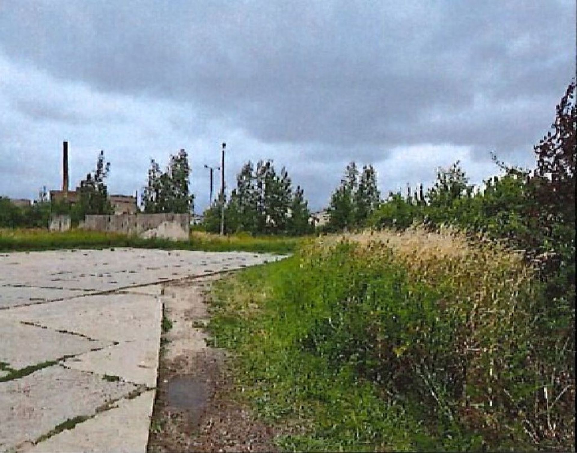 Slide Image