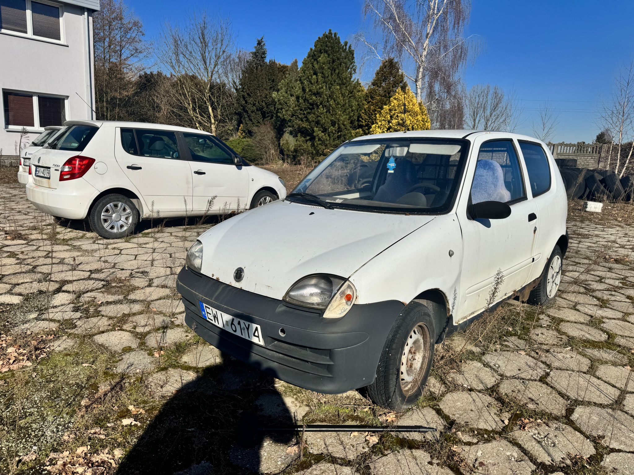 Slide Image