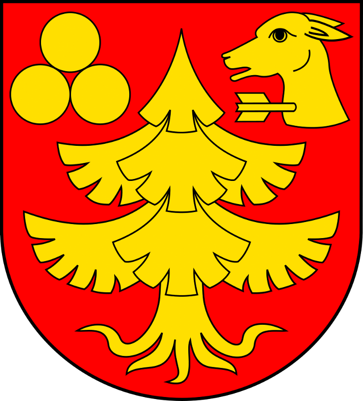 GMINA PIONKI - Company Logo